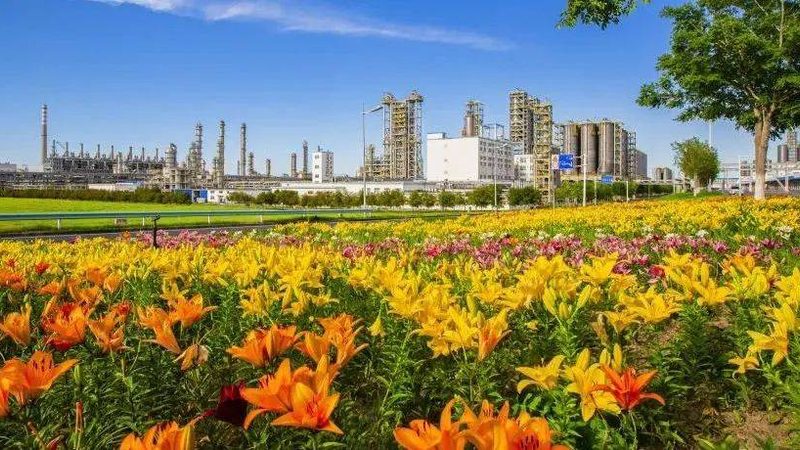 上海化工产品代理公司客户案例解析：如何选择合适的合作伙伴**